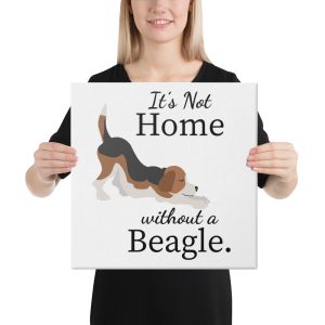 about omg beagle
