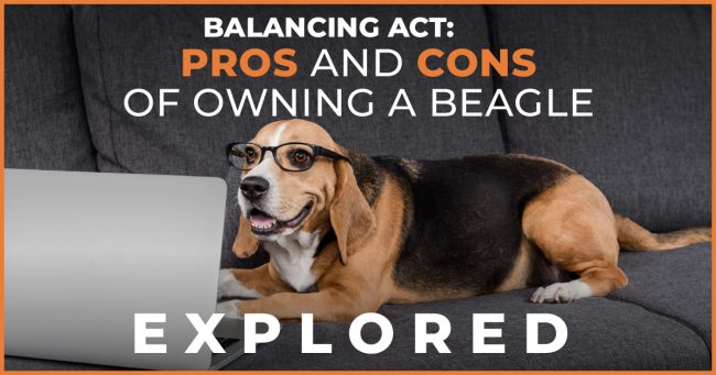 pros and cons of owning a beagle