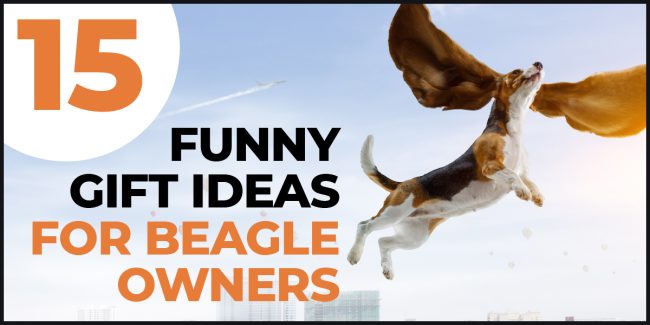15 Funny Gift Ideas for Beagle Owners Every Dog Lover Will Laugh At funny gift ideas for beagle owners