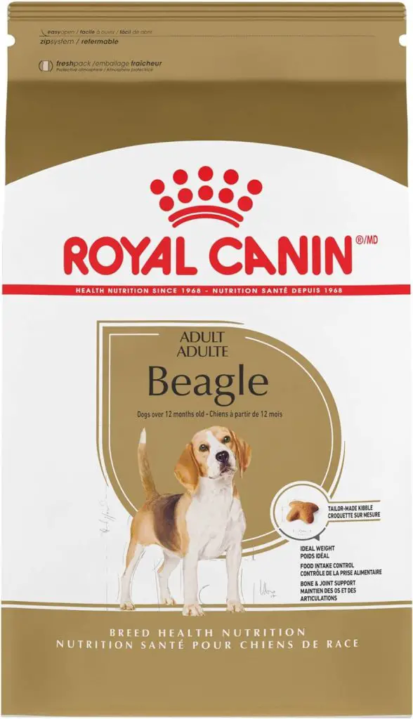 best beagle breed dog food