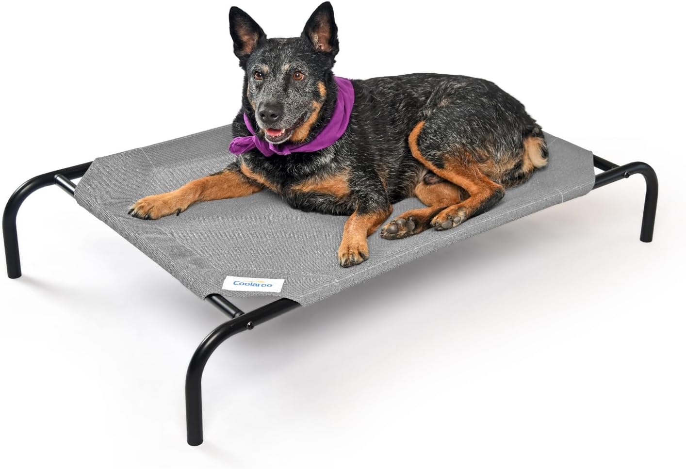 outdoor cot for beagle dogs