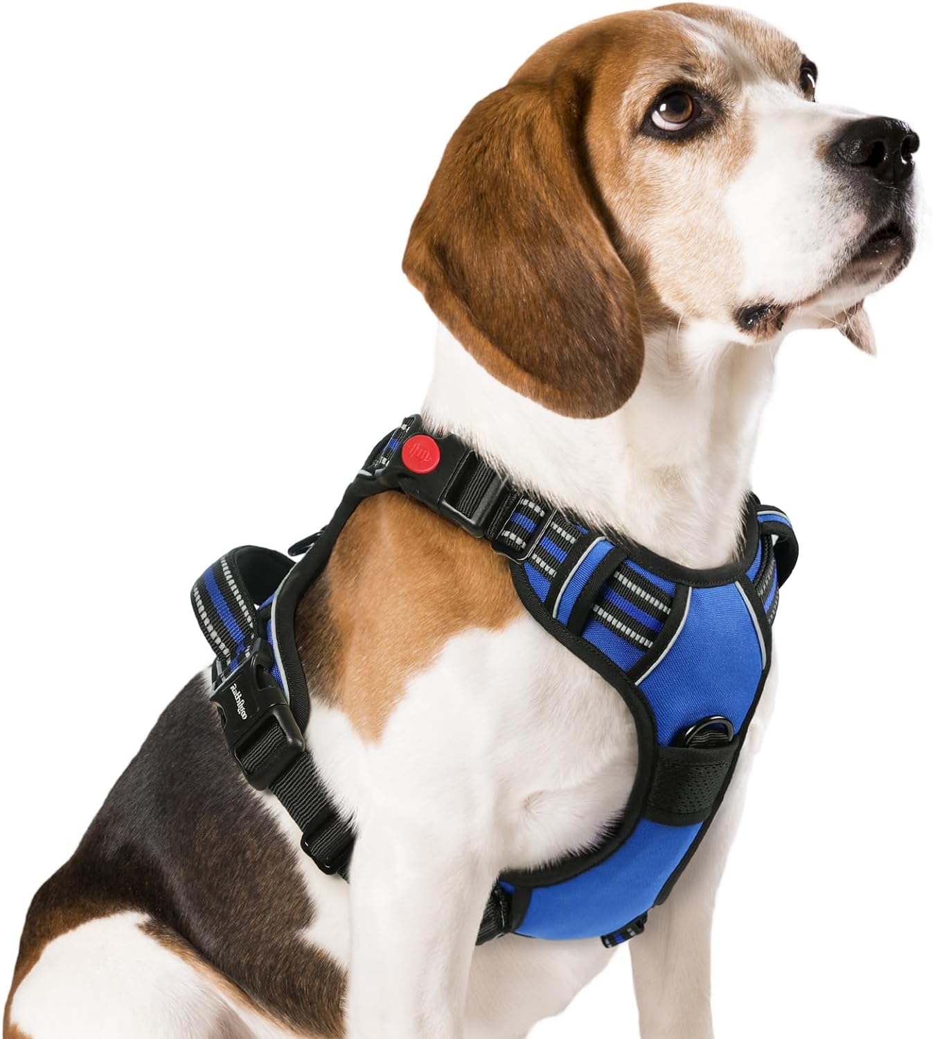 dog harness for beagles