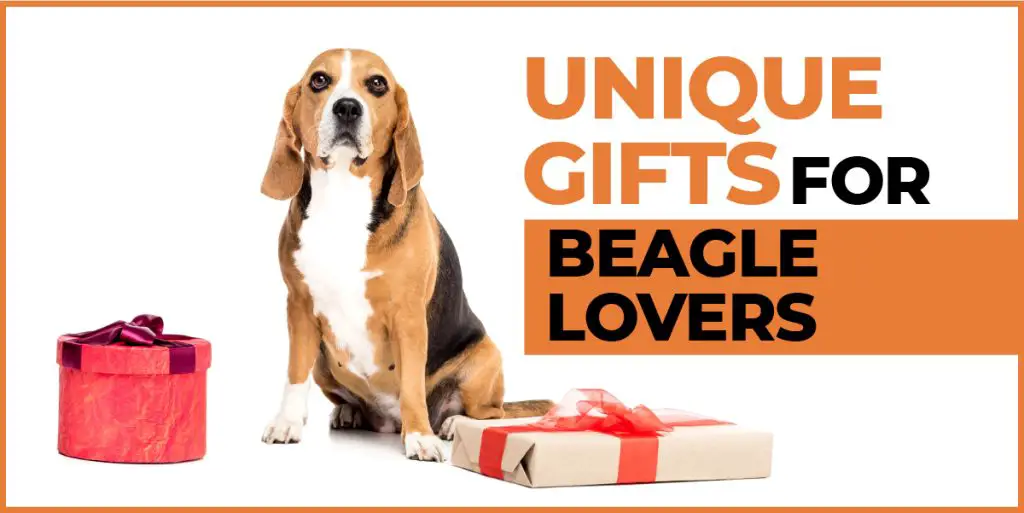 unique gifts for beagle lovers