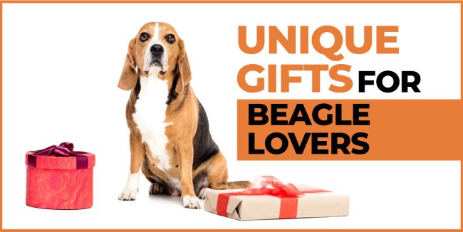 Beagle lovers gift ideas best sale