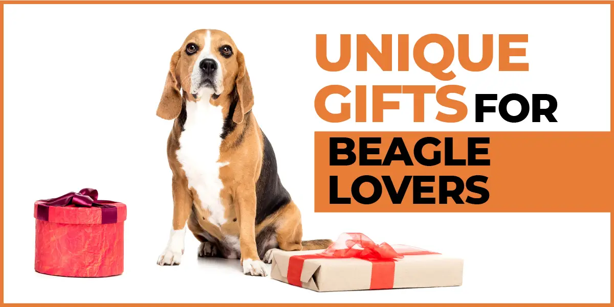 Gifts for beagle lovers hotsell