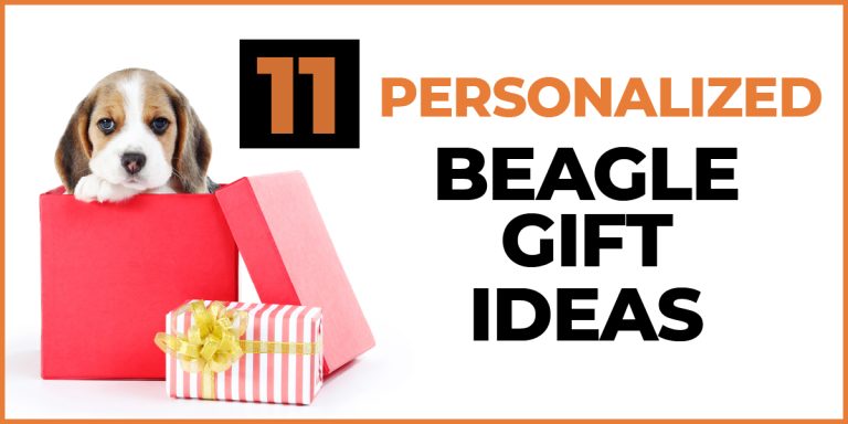 personalized beagle gifts