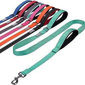 Durable Beagle Leashes