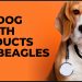 Top Dog Health Products for Beagles – For Their Best Life