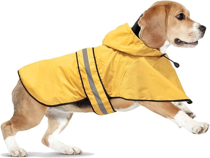 Waterproof Beagle Rain Gear