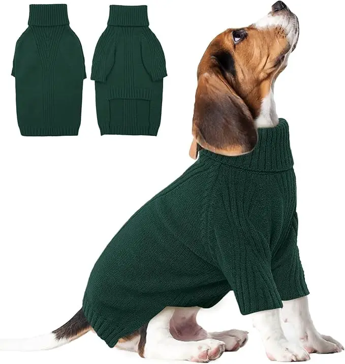 Stylish Beagle Sweater