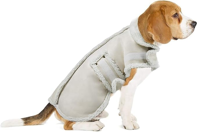 Protective Beagle Coat