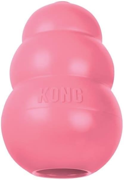 KONG chewy toys for dogs