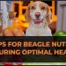 Top Tips for Beagle Nutrition: Ensuring Optimal Health