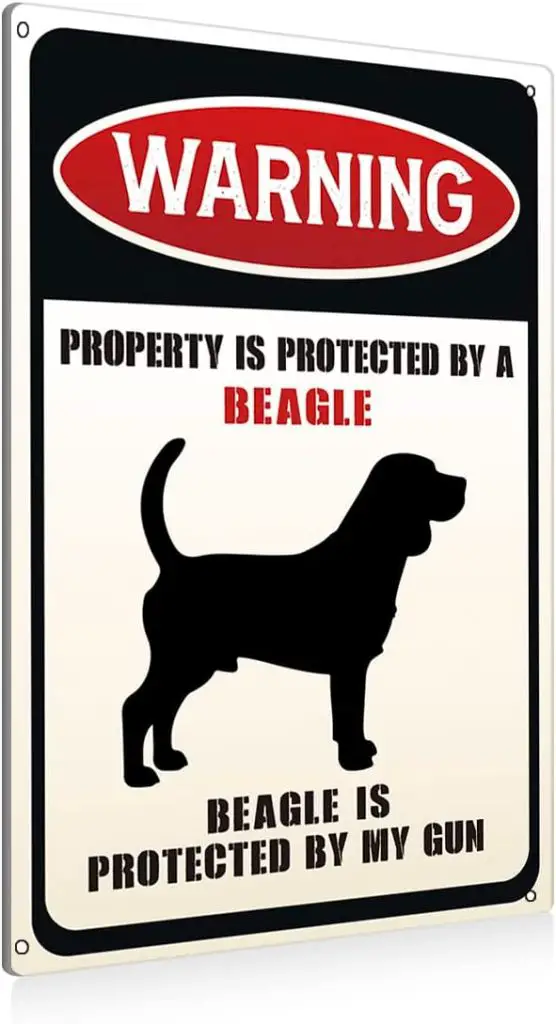 beagle signs 