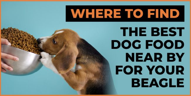 Where To Find the Best Dog Food Near By For Your Beagle? dog food near by