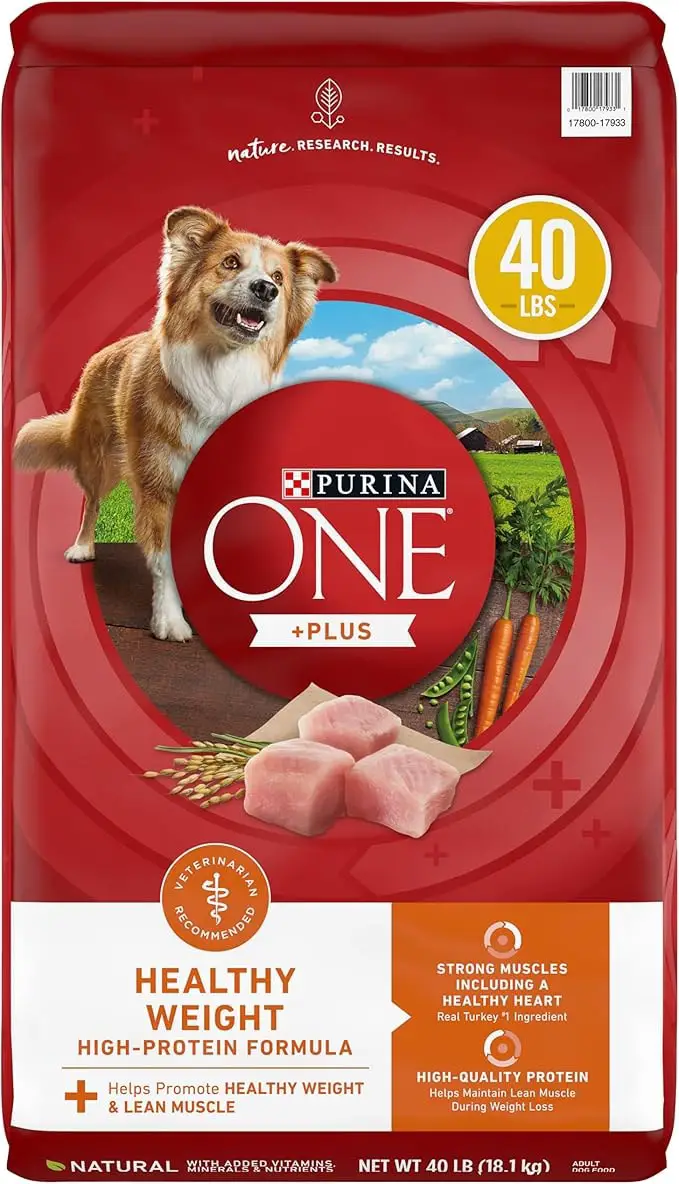 Purina ONE SmartBlend High Protein Formula Adult Dry Dog Food