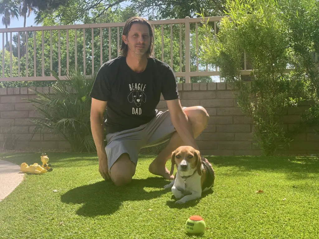 man and beagle puppy practicing outdoor training