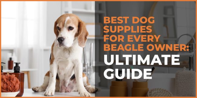Best Dog Supplies for Every Beagle Owner: Ultimate Guide best dog supplies