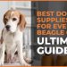 Best Dog Supplies for Every Beagle Owner: Ultimate Guide