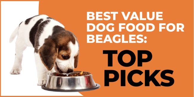 Best Value Dog Food for Beagles: Top Picks best value dog food