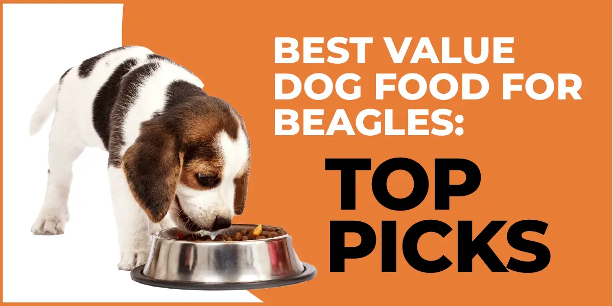 best diet dog food for beagles
