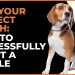 Find Your Perfect Match: How to Successfully Adopt a Beagle