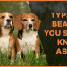 5 Types of Beagles You Should Know About