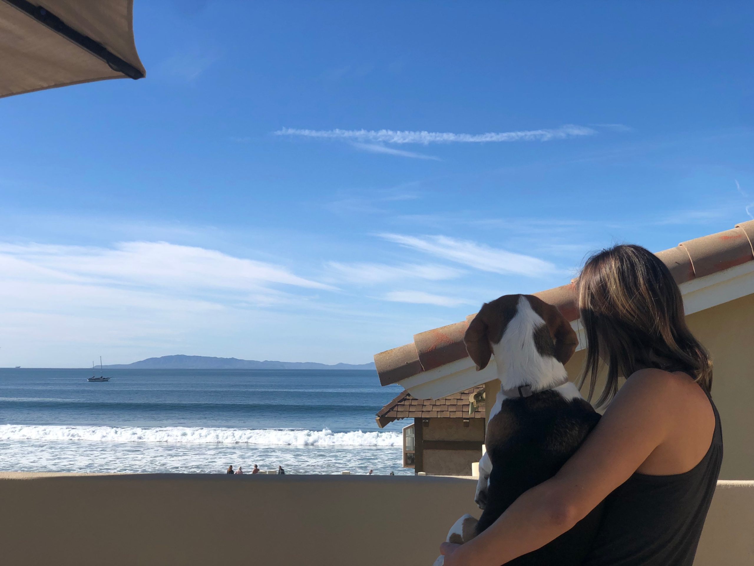 woman and beagle watching the ocean