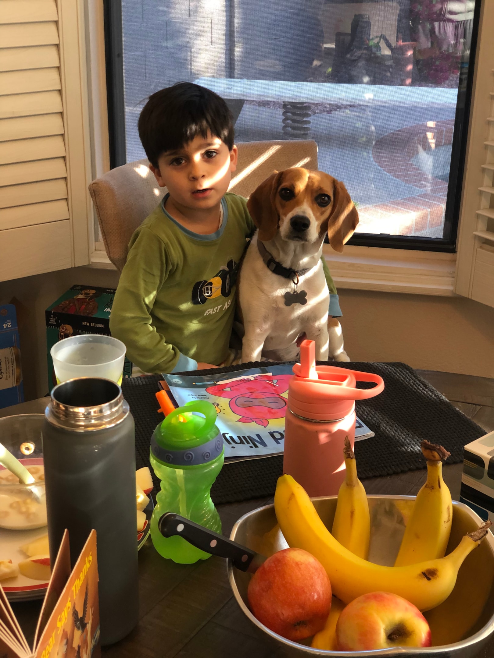 beagle sitting with young child