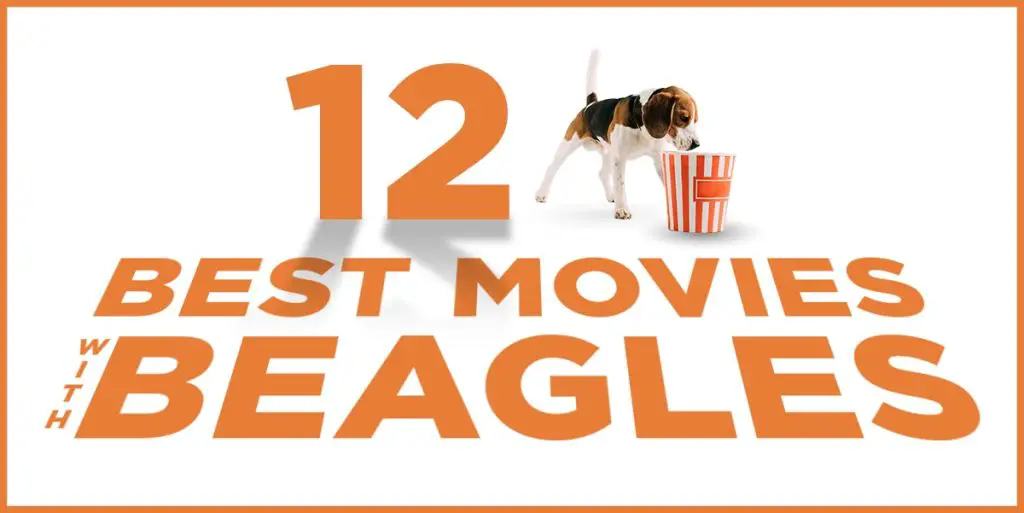 movies with beagles